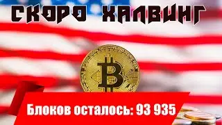 В США  BTC  теперь можно все ! БЛОКОВ ОСТАЛОСЬ 93 935