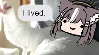 Airi Talks About Her Accident