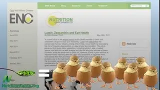 Egg industry blind spot