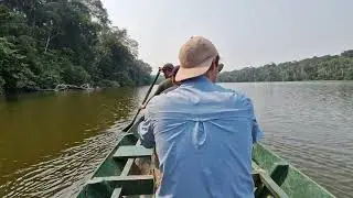 Amazon Rainforest Boat Hyperlapse - Peru