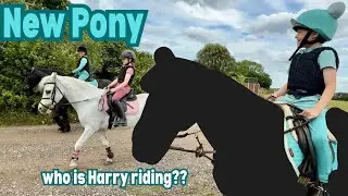 New pony!
