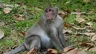 Poor pregnant mom Jane feels so sad & exhausted/ Jane looks so difficult sitting due to unborn baby.