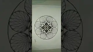 Circular Geometric Illusion