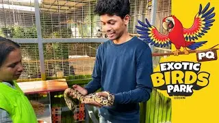 Kerala&rsquo;s 1st Interactive BIRD'S 🦜 PARK