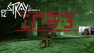 Der Defluxor🐈STRAY &bull; 12 (Facecam)