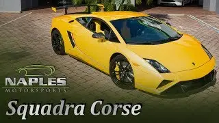 RARE Lamborghini Gallardo SQUADRA CORSE!! - At Naples Motorsports