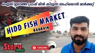 Hidd Fish Market Bahrain. Best Fish Market in Bahrain. There available fresh fishes. #BahrainVlog