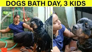 Dogs Bath Day, 3 Kids 🥰🥰🥰 | Nammuslife