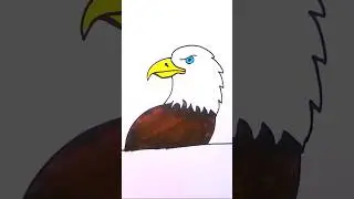 Easy Eagle Drawing 🎨 #eagle #bird #shorts