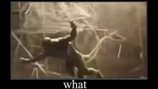 The lizard gets kicked by nothing what