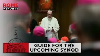 New #document brings up hot button issues for discussion at #Synod of Bishops in October