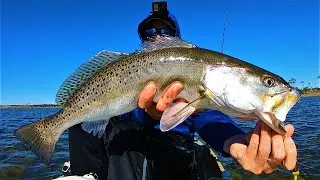 Inshore GRAND SLAM - Jumbo Speckled Trout, Flounder, & Redfish - Plastic Tactics For Fall Fish