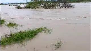 Dehing river flooding