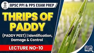 BPSC PPI & PPS Exam Prep | Thrips of Paddy | Identification, Damage & Control | Lecture No-10