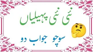 New Paheliyan ll Socho Aur Jawab Do ll Amazing Paheliyan ll Interesting Facts ll Mz Urdu Gk Quiz