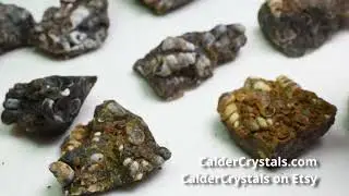 Turritella Agate Rough, Raw Fossil Specimen From Wyoming, USA
