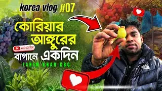 দক্ষিণ কোরিয়ার আঙুর বাগানের রহস্য! | The Secret of South Korea&rsquo;s Grape Garden