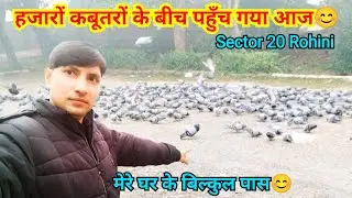 Delhi park video / Delhi couple places । Delhi news