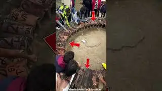 This Rabbit Decides Who Wins the Bet! 🐇 | Viral Game from Venezuela #facts