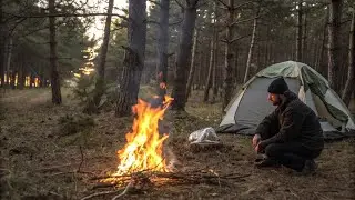 Total Mind Reboot - Best SOLO Tent Camping | Bushcraft | ASMR | Campfire Cooking 🌲