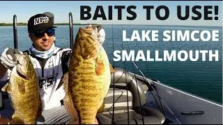 Top Smallmouth baits for Lake Simcoe ON