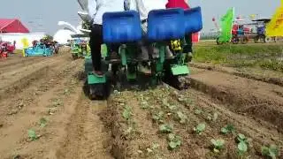Self propelled Vegetable transplanter