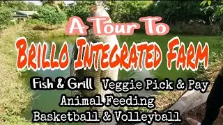 Brillo Integrated Farm Tour
