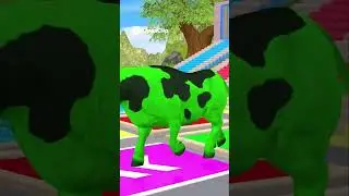 Color Changing Cow Escapes Cage & Conquers Crazy Obstacle Course!