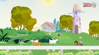 The Barnyard - Meow Meow TV