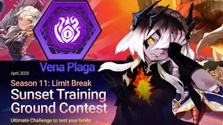 [Dragon Nest Sea] Vena Plaga Sunset Training Ground (STG 30) LB30