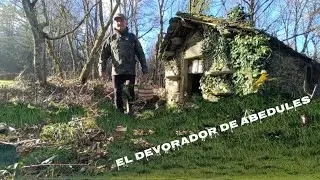 Fomitopsis betulina EL DEVORADOR DE ABEDULES