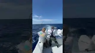 Tuna Fishing in the Freeman