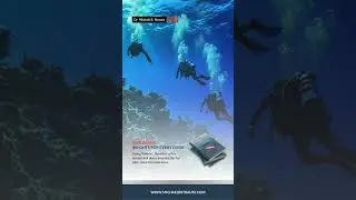 SAfe Diving
