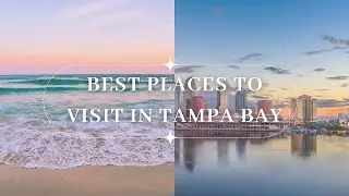 Exploring Sand Key Beach: A Hidden Gem in Clearwater, FL | Florida Travel Guide