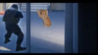 Post S4 Premier Highlights