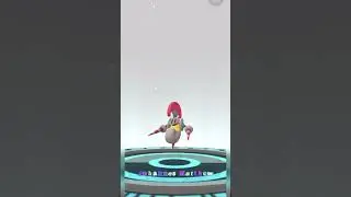 Karrablast Evolution to Escavalier 🗿 #pokemongo #karrablast #escavalier