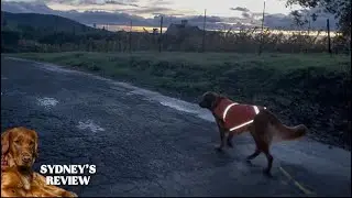 Reflective vest - stay safe after dark!