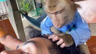 ASMR Monkey Tin Grooming Human Very Nice And Sweet Sound