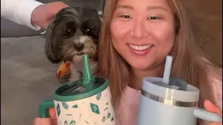Testing Hydro Jug, Hydro flask, Stanley Cup and YETI