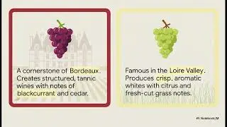 Wine and the Camino de Santiago: A Pilgrim's Guide to the Grapes