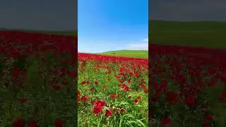 Visit Shamakhi &hearts;️#visitazerbaijan #azerbaijan #shamakhi #travel #tourism #destination