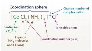 Selection Rules for d-d Transition| Spin Selection Rule| Laporte Selection Rule| Spectroscopy