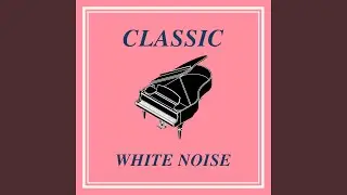 Piano Sonata No.1 In C Major K.279 - II. Andante