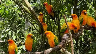 CEBU SAFARI WITH THE FAMILY