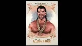 WWE Topps 2021 Heritage Allen and Ginter Cards. ASMR. 12-15-2025