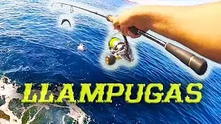 &Uacute;ltimas llampugas del a&ntilde;o!! | Lured Vlog 22