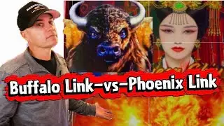Buffalo Link DESTROYED Phoenix Link in This INSANE Bonus Battle!