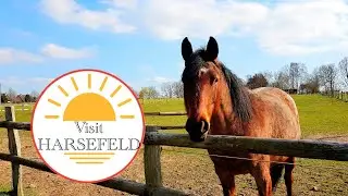 Visit Harsefeld || Countryside || Lower Saxony