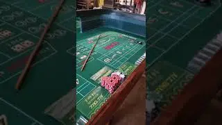 My 8 foot craps table