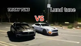 Mustang vs Mach 1/ Mach 1 goes over curb